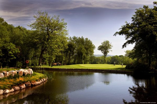 Hotel The Vale Resort (Cardiff)